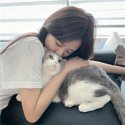 续·社长忍法帖